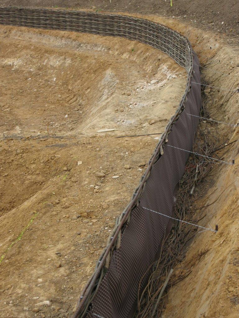 Fascine de saule pour la stabilisation d'une berge