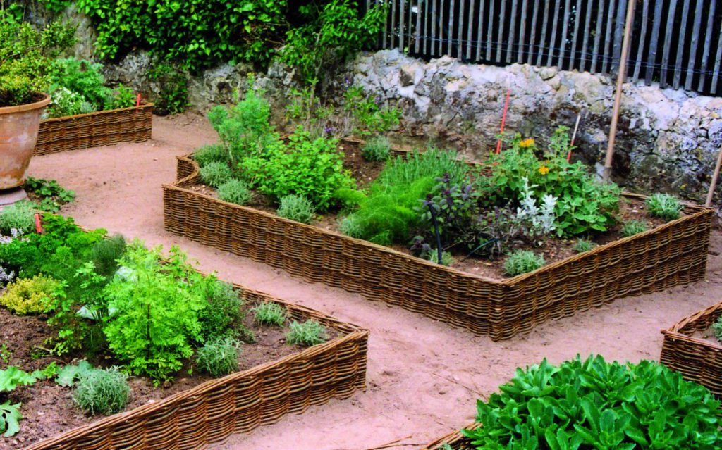 Carrés potagers en bordure d'osier
